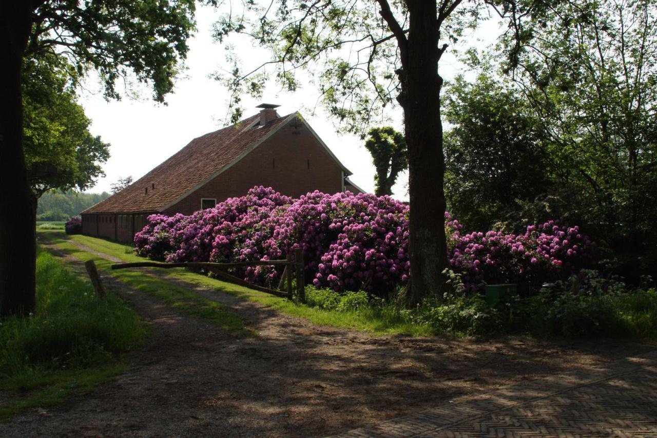 Huis Eedingh Onstwedde Exterior foto